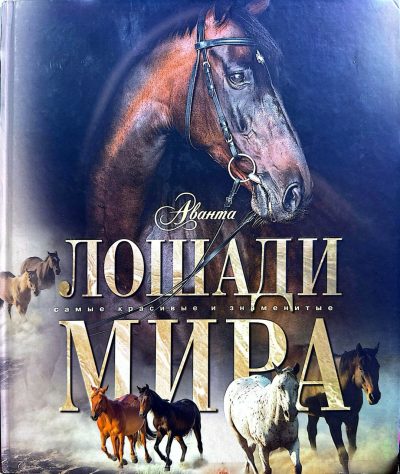 Лошади мира